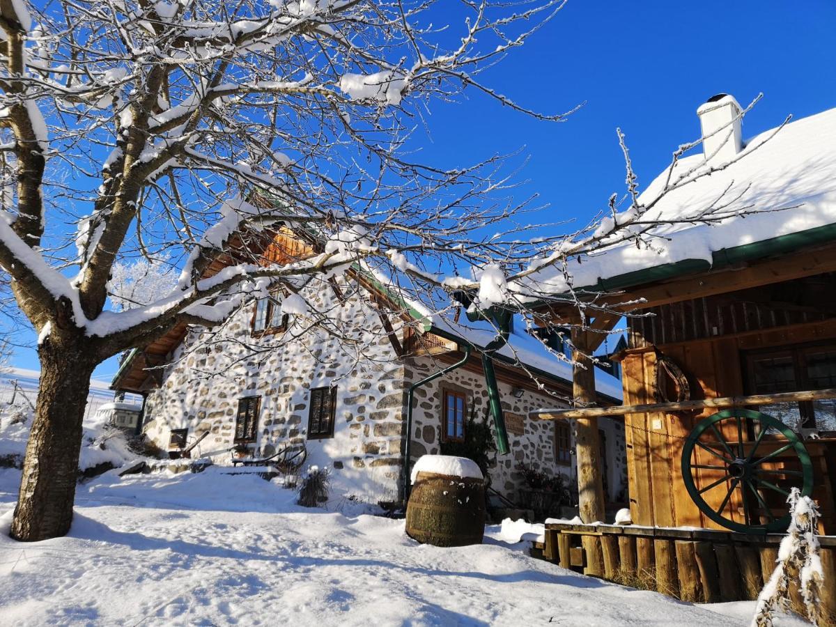 Ferienhaus Friedlhof Langschlag  Buitenkant foto